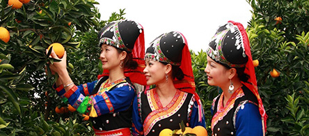 聯(lián)開(kāi)金屬·更多資訊